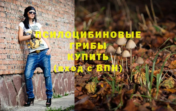 не бодяженный Армянск