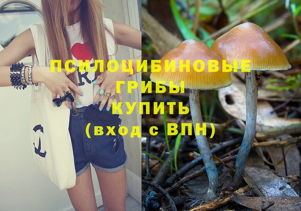 мяу мяу мука Алексеевка