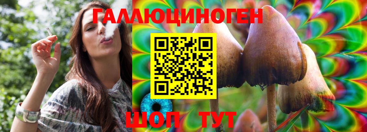 Псилоцибиновые грибы MAGIC MUSHROOMS  Вход с VPN  Псилоцибиновые грибы мухоморы  Чернушка 